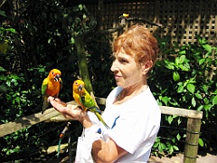039 Birdworld Kuranda